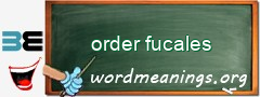 WordMeaning blackboard for order fucales